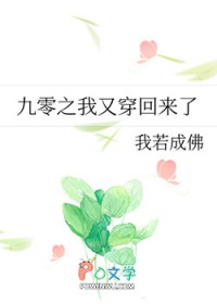 九零之我又穿回来了